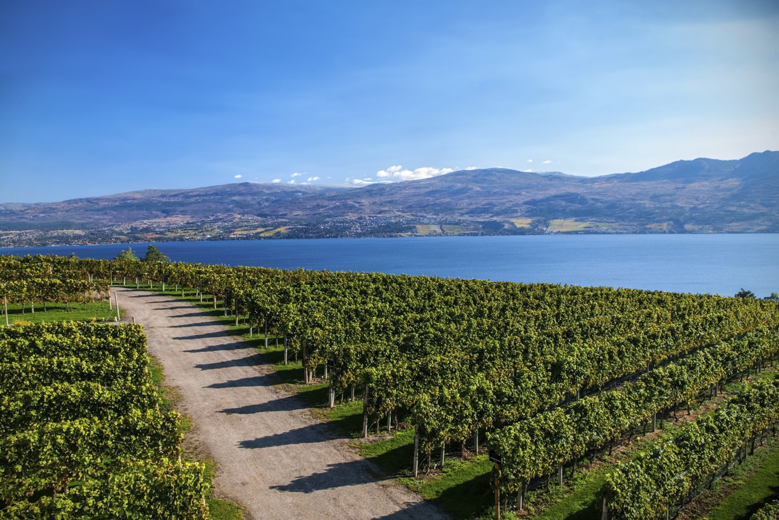Canadian Wine Tours - British Columbia